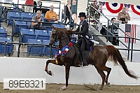 _89e8321 thumbnail