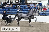 10r14_6173 thumbnail