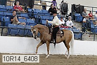 10r14_6408 thumbnail