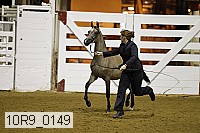 10r9_0149 thumbnail
