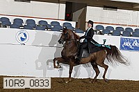 10r9_0833 thumbnail