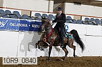 10r9_0840 thumbnail