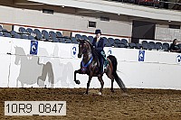 10r9_0847 thumbnail
