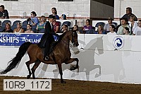 10r9_1172 thumbnail