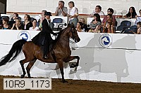 10r9_1173 thumbnail