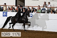 10r9_1176 thumbnail