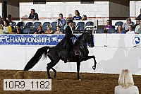 10r9_1182 thumbnail