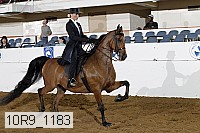 10r9_1183 thumbnail