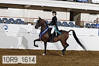 10r9_1614 thumbnail