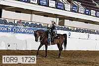 10r9_1729 thumbnail