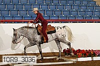 10r9_3036 thumbnail