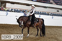 10r9_2309 thumbnail