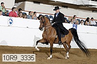 10r9_3335 thumbnail