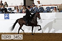 10r9_3452 thumbnail