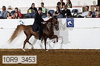 10r9_3453 thumbnail
