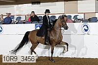 10r9_3456 thumbnail