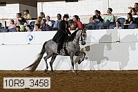 10r9_3458 thumbnail