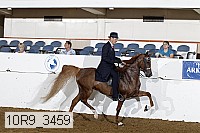 10r9_3459 thumbnail
