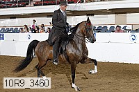 10r9_3460 thumbnail