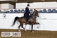 10r9_3461 thumbnail