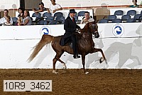 10r9_3462 thumbnail