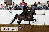 10r9_3466 thumbnail