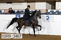 10r9_3467 thumbnail