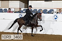 10r9_3468 thumbnail