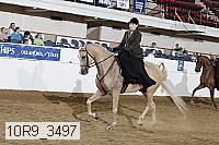 10r9_3497 thumbnail