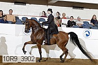 10r9_3902 thumbnail