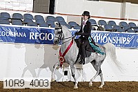 10r9_4003 thumbnail