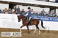 10r9_4292 thumbnail