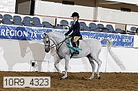 10r9_4323 thumbnail