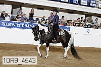 10r9_4543 thumbnail
