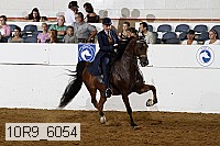 10r9_6054 thumbnail