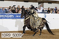 10r9_5009 thumbnail