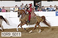 10r9_5011 thumbnail