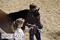 10r9_5422 thumbnail