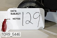 10r9_5446 thumbnail