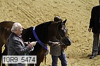 10r9_5474 thumbnail