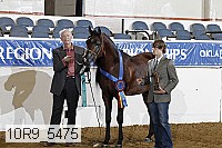 10r9_5475 thumbnail