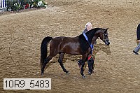 10r9_5483 thumbnail