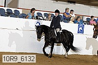 10r9_6132 thumbnail