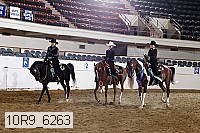 10r9_6263 thumbnail