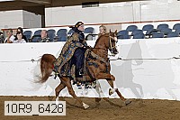 10r9_6428 thumbnail
