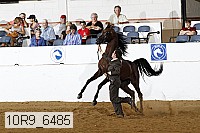 10r9_6485 thumbnail