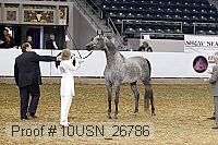 10usn_26786 thumbnail
