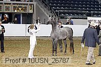 10usn_26787 thumbnail