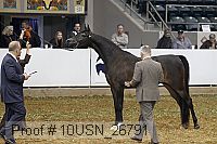 10usn_26791 thumbnail