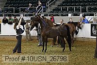 10usn_26798 thumbnail